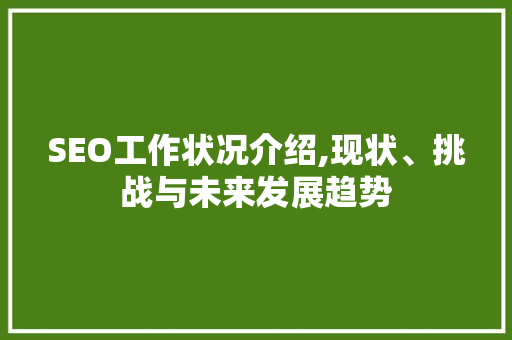 SEO工作状况介绍,现状、挑战与未来发展趋势