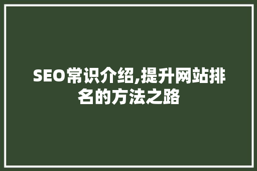 SEO常识介绍,提升网站排名的方法之路