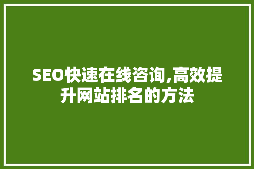 SEO快速在线咨询,高效提升网站排名的方法