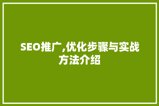 SEO推广,优化步骤与实战方法介绍