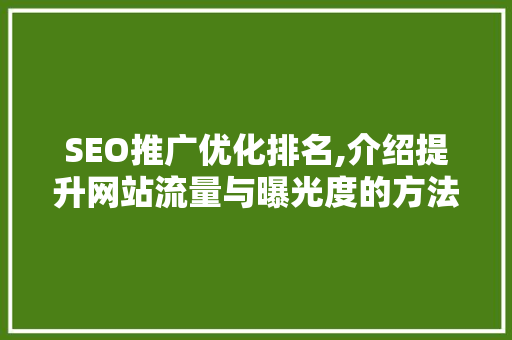 SEO推广优化排名,介绍提升网站流量与曝光度的方法