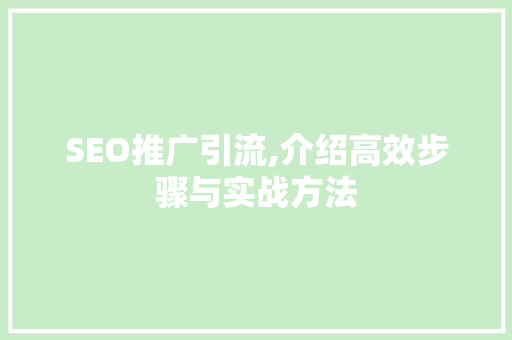 SEO推广引流,介绍高效步骤与实战方法