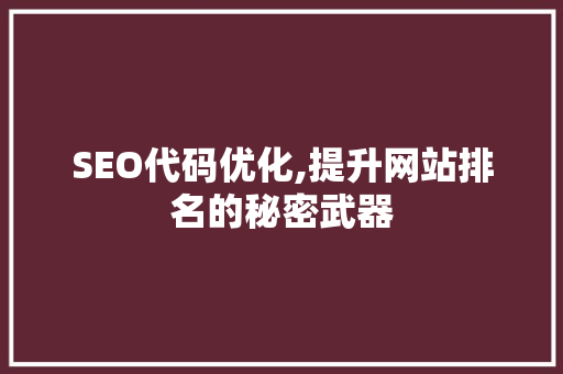 SEO代码优化,提升网站排名的秘密武器  第1张