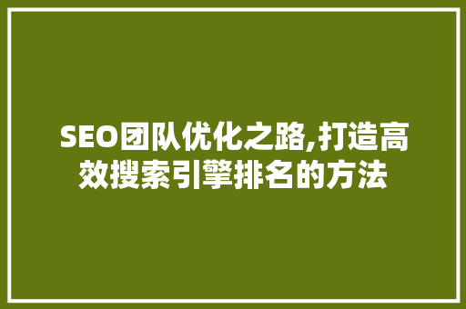 SEO团队优化之路,打造高效搜索引擎排名的方法  第1张