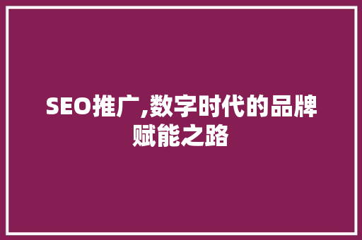 SEO推广,数字时代的品牌赋能之路