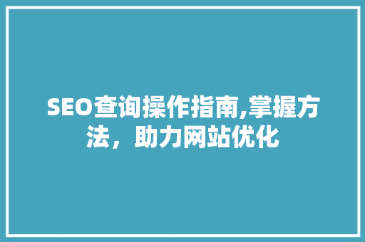 SEO查询操作指南,掌握方法，助力网站优化