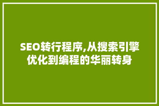 SEO转行程序,从搜索引擎优化到编程的华丽转身