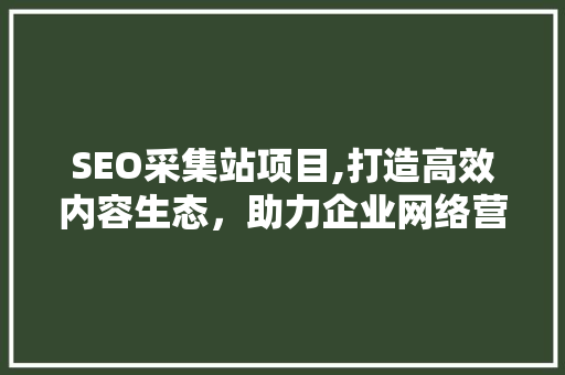 SEO采集站项目,打造高效内容生态，助力企业网络营销新突破  第1张