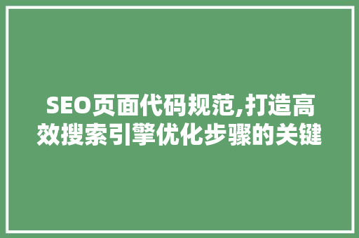 SEO页面代码规范,打造高效搜索引擎优化步骤的关键