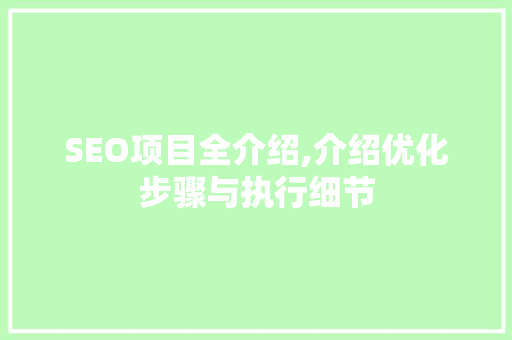 SEO项目全介绍,介绍优化步骤与执行细节