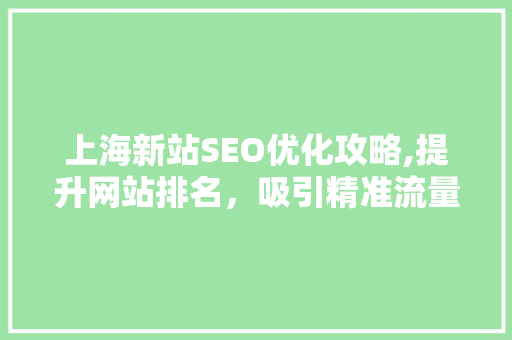 上海新站SEO优化攻略,提升网站排名，吸引精准流量