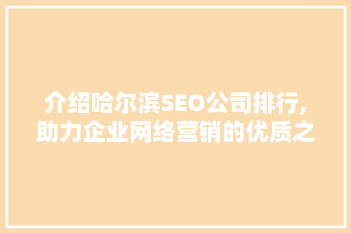 介绍哈尔滨SEO公司排行,助力企业网络营销的优质之选  第1张