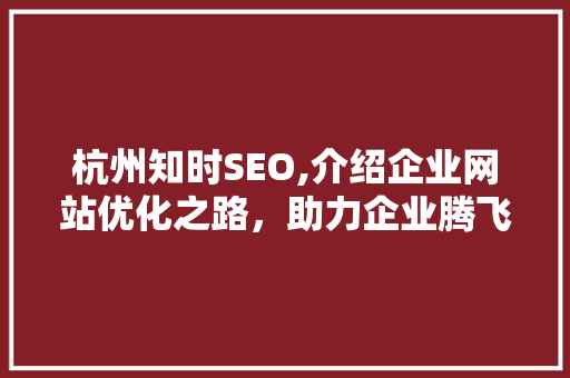 杭州知时SEO,介绍企业网站优化之路，助力企业腾飞