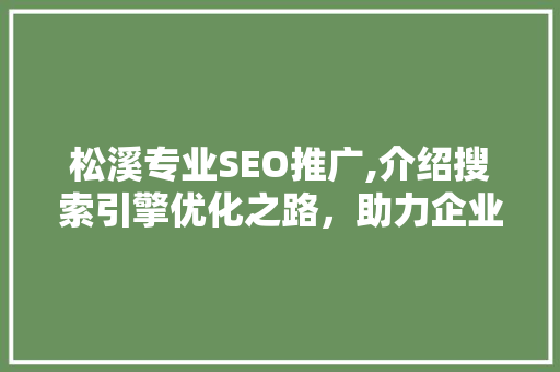 松溪专业SEO推广,介绍搜索引擎优化之路，助力企业腾飞  第1张
