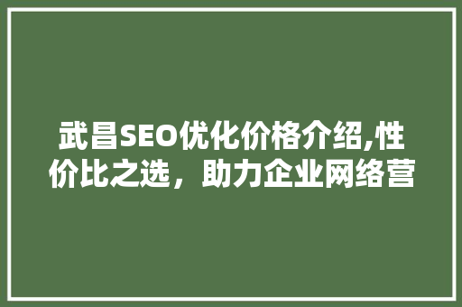 武昌SEO优化价格介绍,性价比之选，助力企业网络营销