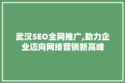 武汉SEO全网推广,助力企业迈向网络营销新高峰