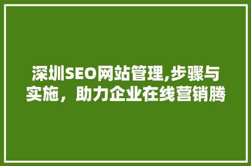 深圳SEO网站管理,步骤与实施，助力企业在线营销腾飞  第1张