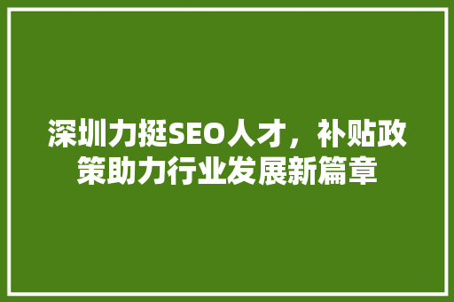 深圳力挺SEO人才，补贴政策助力行业发展新篇章