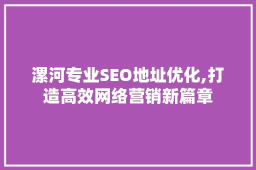 漯河专业SEO地址优化,打造高效网络营销新篇章