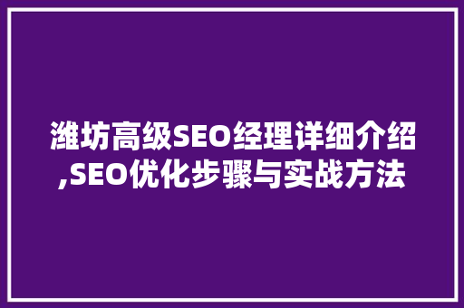 潍坊高级SEO经理详细介绍,SEO优化步骤与实战方法