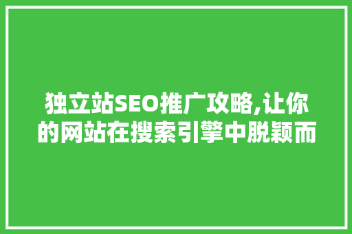 独立站SEO推广攻略,让你的网站在搜索引擎中脱颖而出