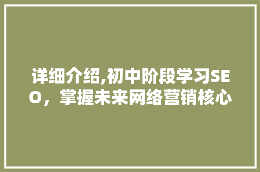 详细介绍,初中阶段学习SEO，掌握未来网络营销核心技能