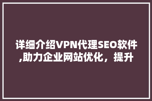 详细介绍VPN代理SEO软件,助力企业网站优化，提升网络营销效果