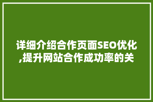 详细介绍合作页面SEO优化,提升网站合作成功率的关键步骤