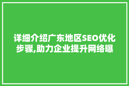 详细介绍广东地区SEO优化步骤,助力企业提升网络曝光度