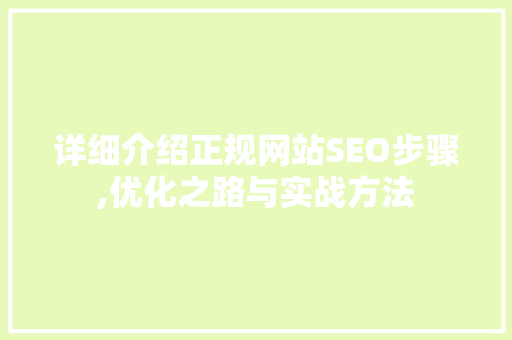 详细介绍正规网站SEO步骤,优化之路与实战方法