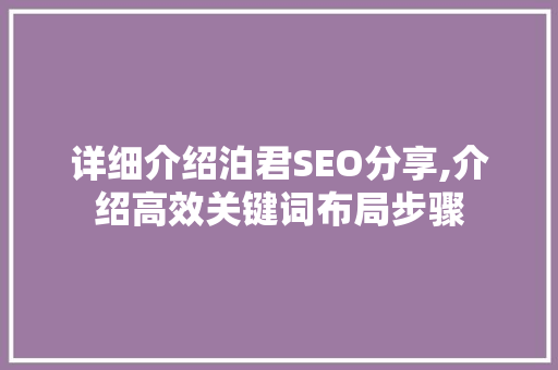 详细介绍泊君SEO分享,介绍高效关键词布局步骤
