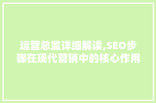 运营总监详细解读,SEO步骤在现代营销中的核心作用  第1张