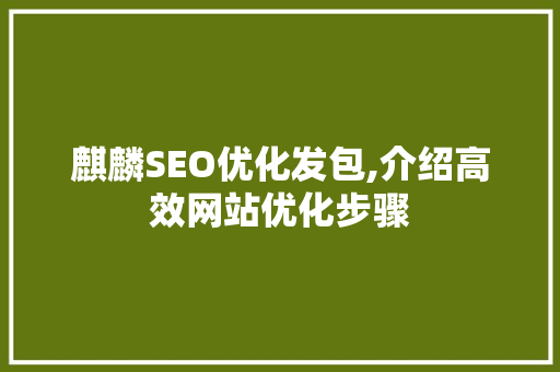 麒麟SEO优化发包,介绍高效网站优化步骤