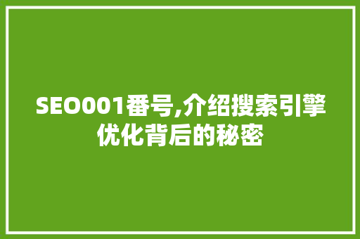 SEO001番号,介绍搜索引擎优化背后的秘密