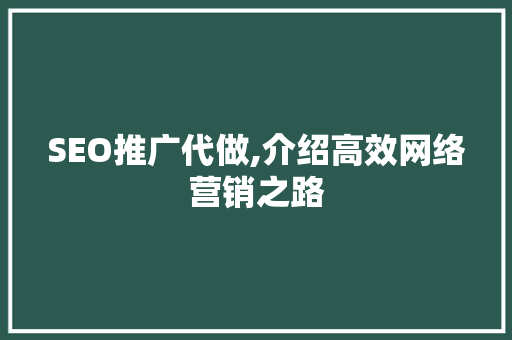 SEO推广代做,介绍高效网络营销之路