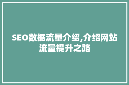 SEO数据流量介绍,介绍网站流量提升之路  第1张