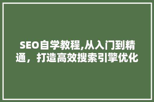 SEO自学教程,从入门到精通，打造高效搜索引擎优化步骤