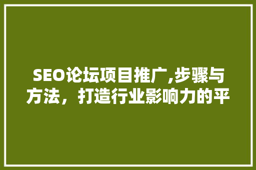 SEO论坛项目推广,步骤与方法，打造行业影响力的平台
