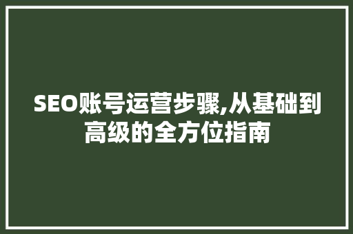 SEO账号运营步骤,从基础到高级的全方位指南