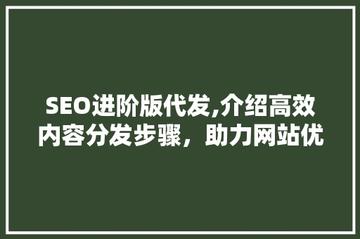 SEO进阶版代发,介绍高效内容分发步骤，助力网站优化