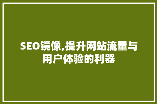SEO镜像,提升网站流量与用户体验的利器  第1张