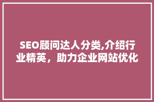 SEO顾问达人分类,介绍行业精英，助力企业网站优化