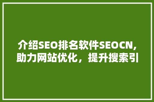 介绍SEO排名软件SEOCN,助力网站优化，提升搜索引擎排名