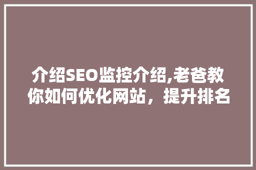 介绍SEO监控介绍,老爸教你如何优化网站，提升排名！