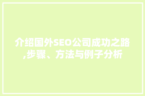 介绍国外SEO公司成功之路,步骤、方法与例子分析