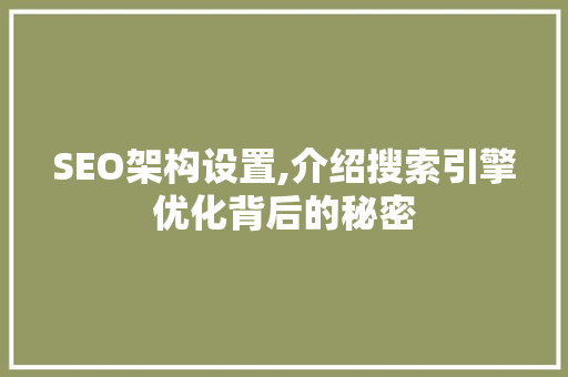 SEO架构设置,介绍搜索引擎优化背后的秘密