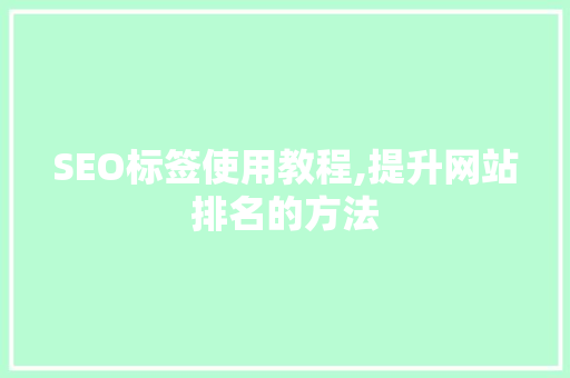 SEO标签使用教程,提升网站排名的方法