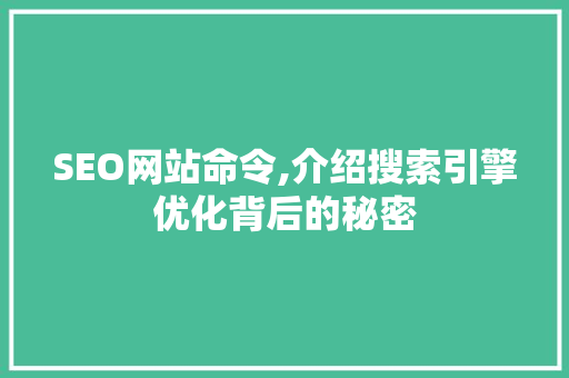 SEO网站命令,介绍搜索引擎优化背后的秘密