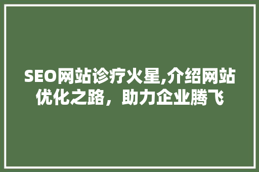 SEO网站诊疗火星,介绍网站优化之路，助力企业腾飞