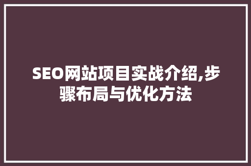SEO网站项目实战介绍,步骤布局与优化方法